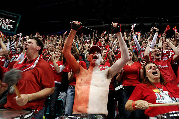 此役的结果 此役的结果